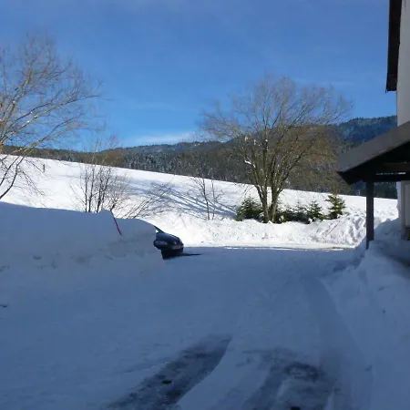 Apartment Les Chamois Lajoux