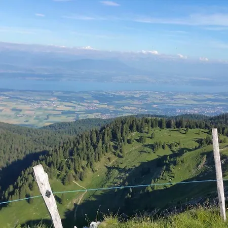 Les Chamois * Lajoux