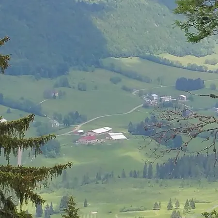 Les Chamois Lajoux