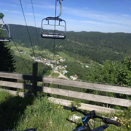 Les Chamois * Lajoux