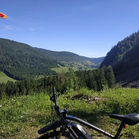 Les Chamois Apartment Lajoux