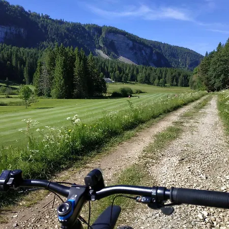 Les Chamois * Lajoux